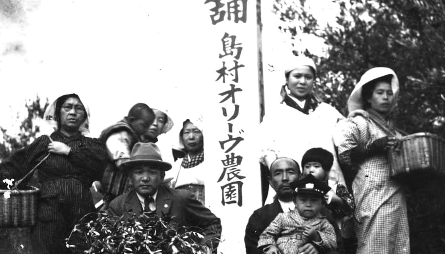 1919年香川県小豆島に民間栽培として
日本で初めてのオリーブ園を開設。